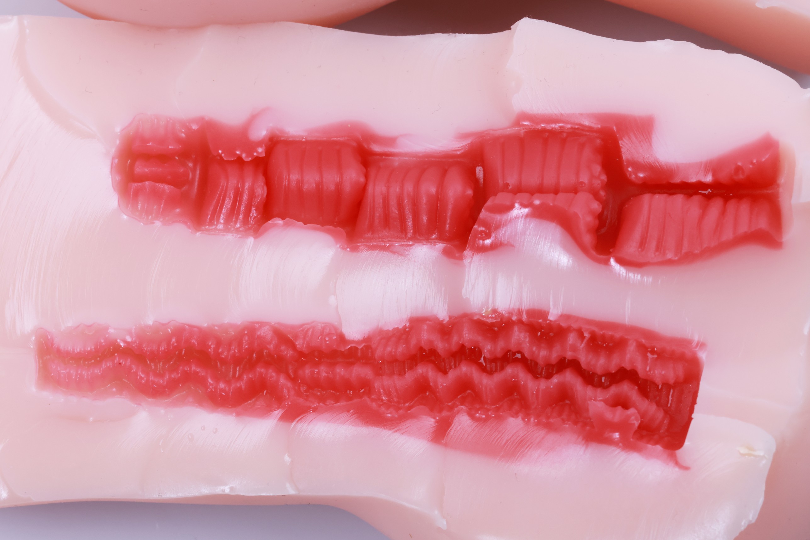 Lovefactor——“ 训教委员”评测！这个胖乎乎的造型现在居然这么流行了吗？