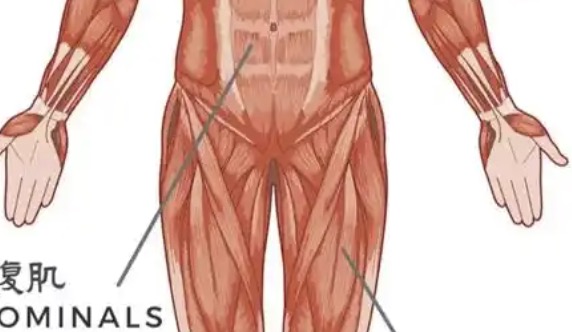 RQS——“爱妻素体”评测!孩子最爱吃的长乳软奶!可惜使用时的插入角度翻大车