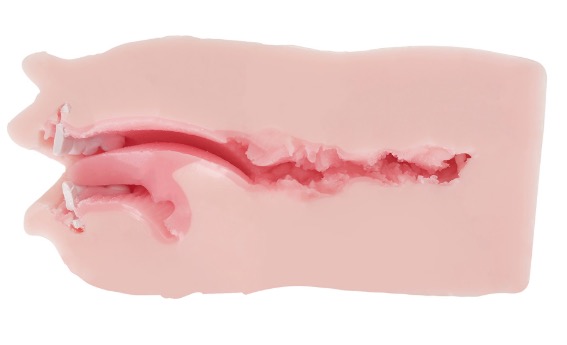 魔眼——“真实之口-极上浪漫主义”评测!口杯大王的十周年续作,招牌黏胶和硬牙齿组合的回归