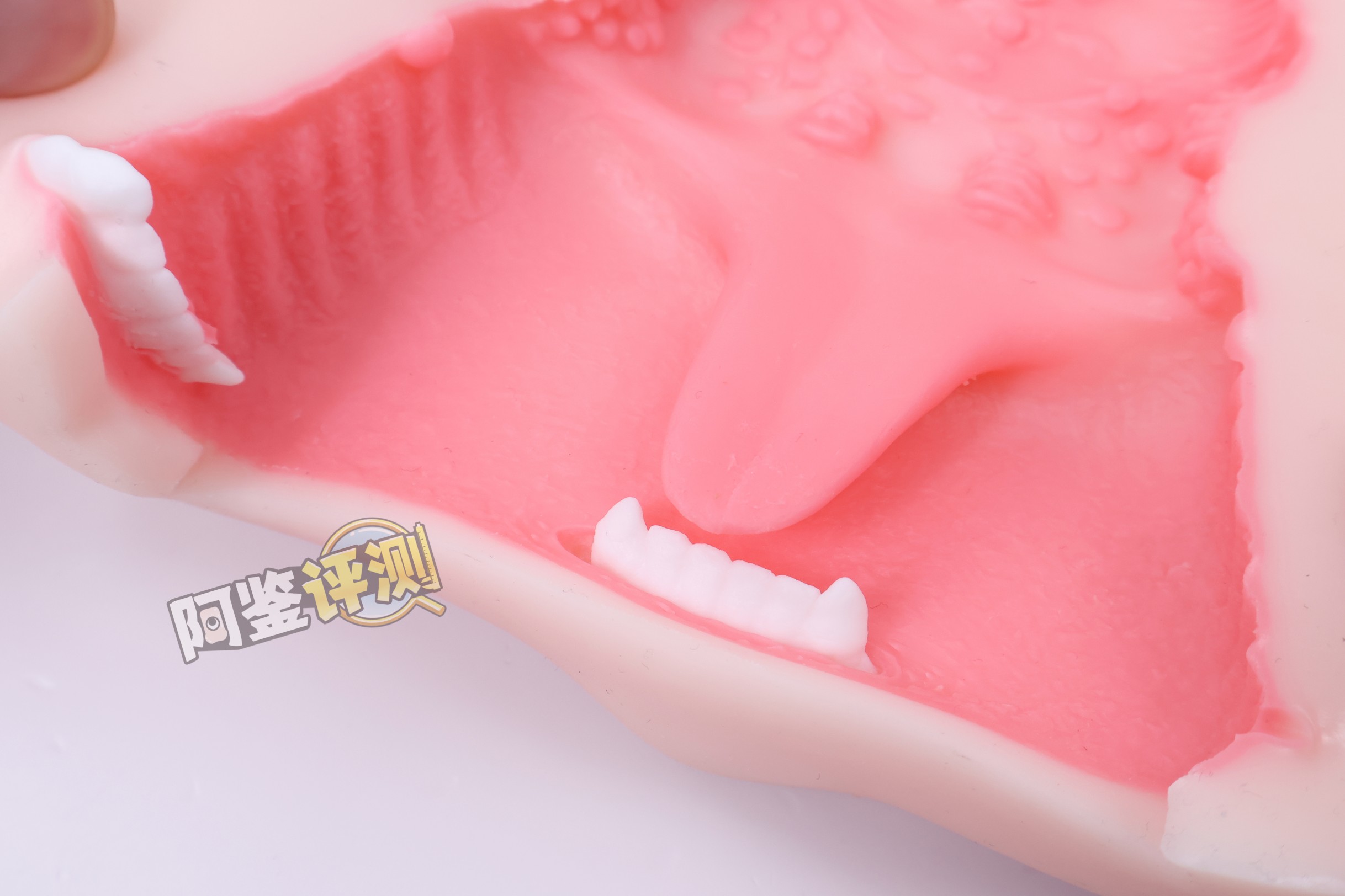 YUU——“元气猫娘”评测!二次元“纸片人”口交飞机杯,只有一个角度的猫娘造型