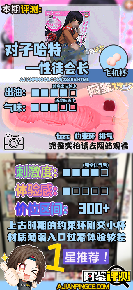 对子哈特——“性徒会长”评测!自慰套一般的贫瘠体验,如今几乎毫无价值的上古菊花杯