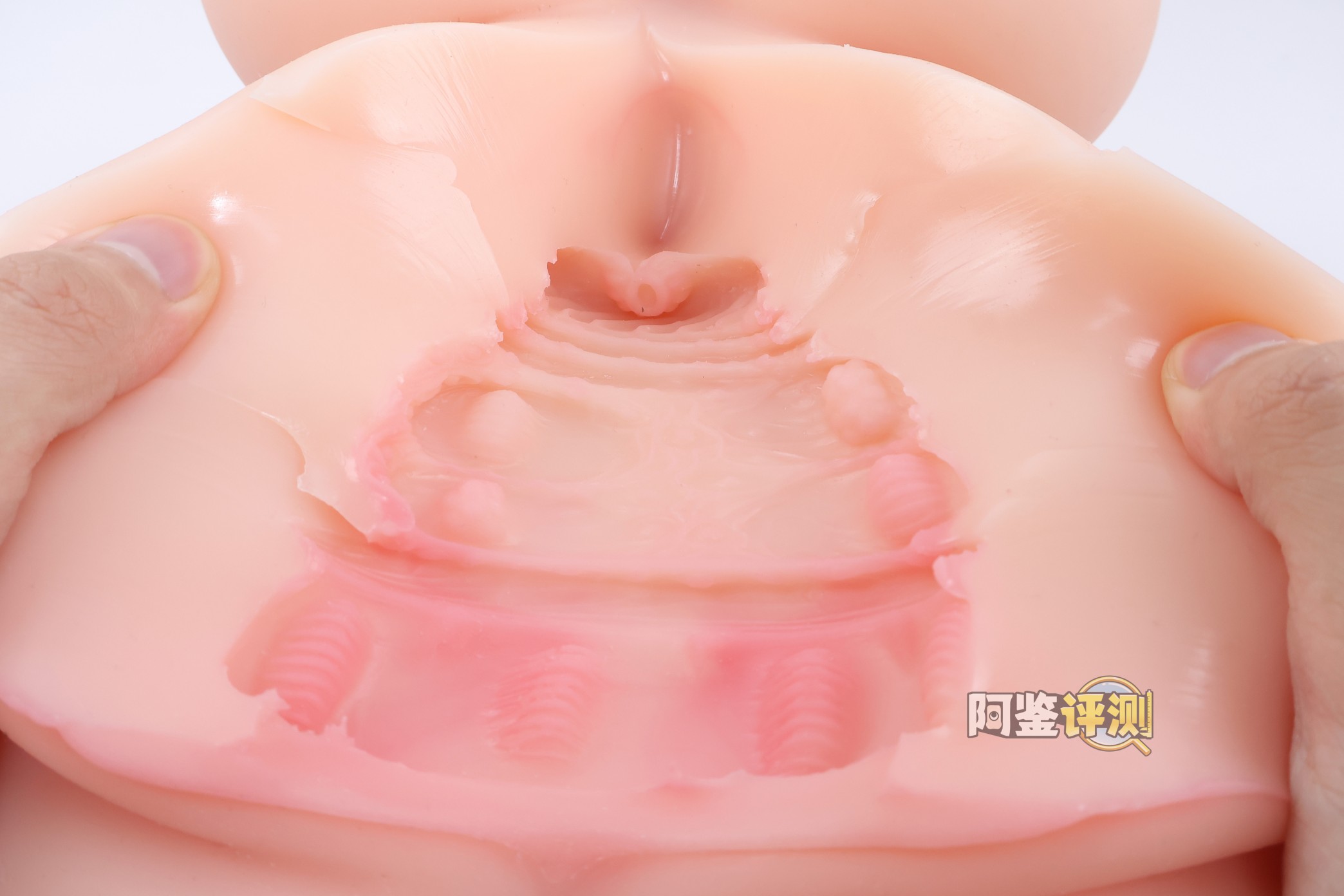 杯多多——“乳穴牛娘”评测！造型虽然看着还不错，但怎么又给我几把撞到骨架上头去了？！