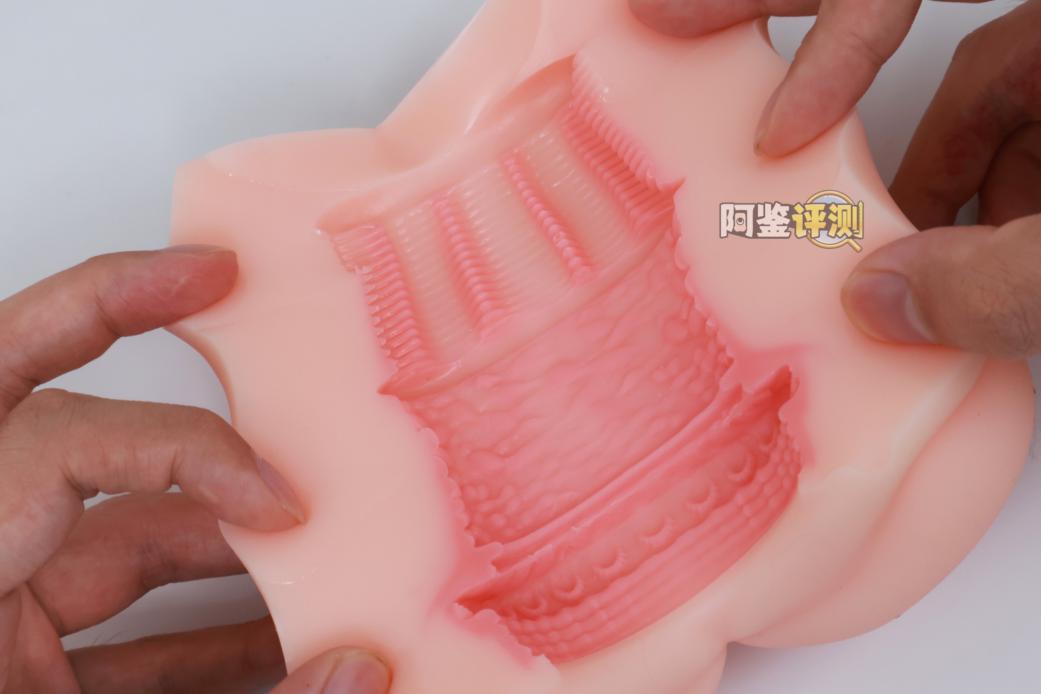 对子哈特——“水无月”评测!简单到如此程度的内部结构,评测都不知道写什么了....