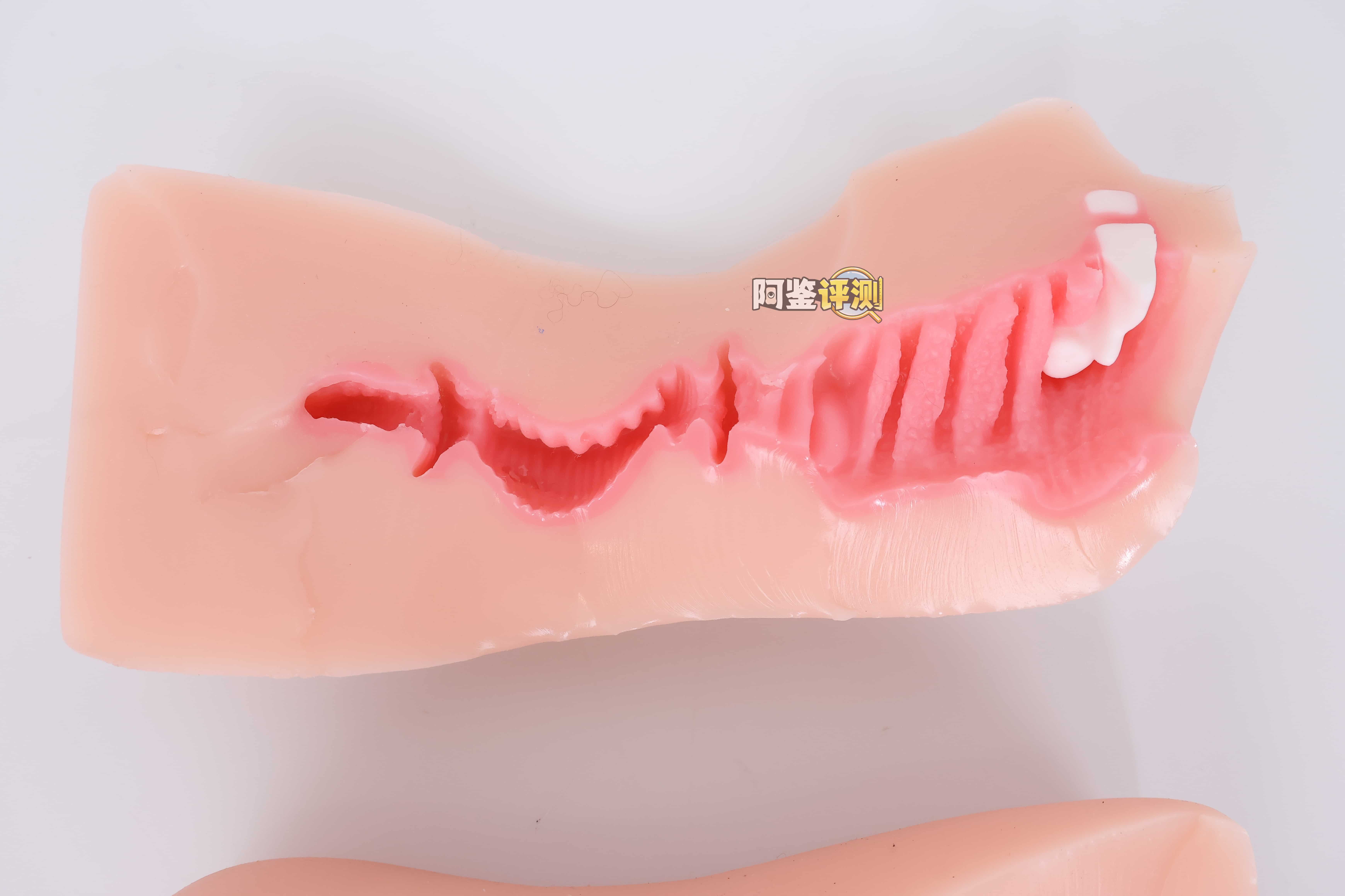 KAGUYANO——”诗多利”评测！非常“二次元画风”的口腔结构，但深处的简单结构并不实用