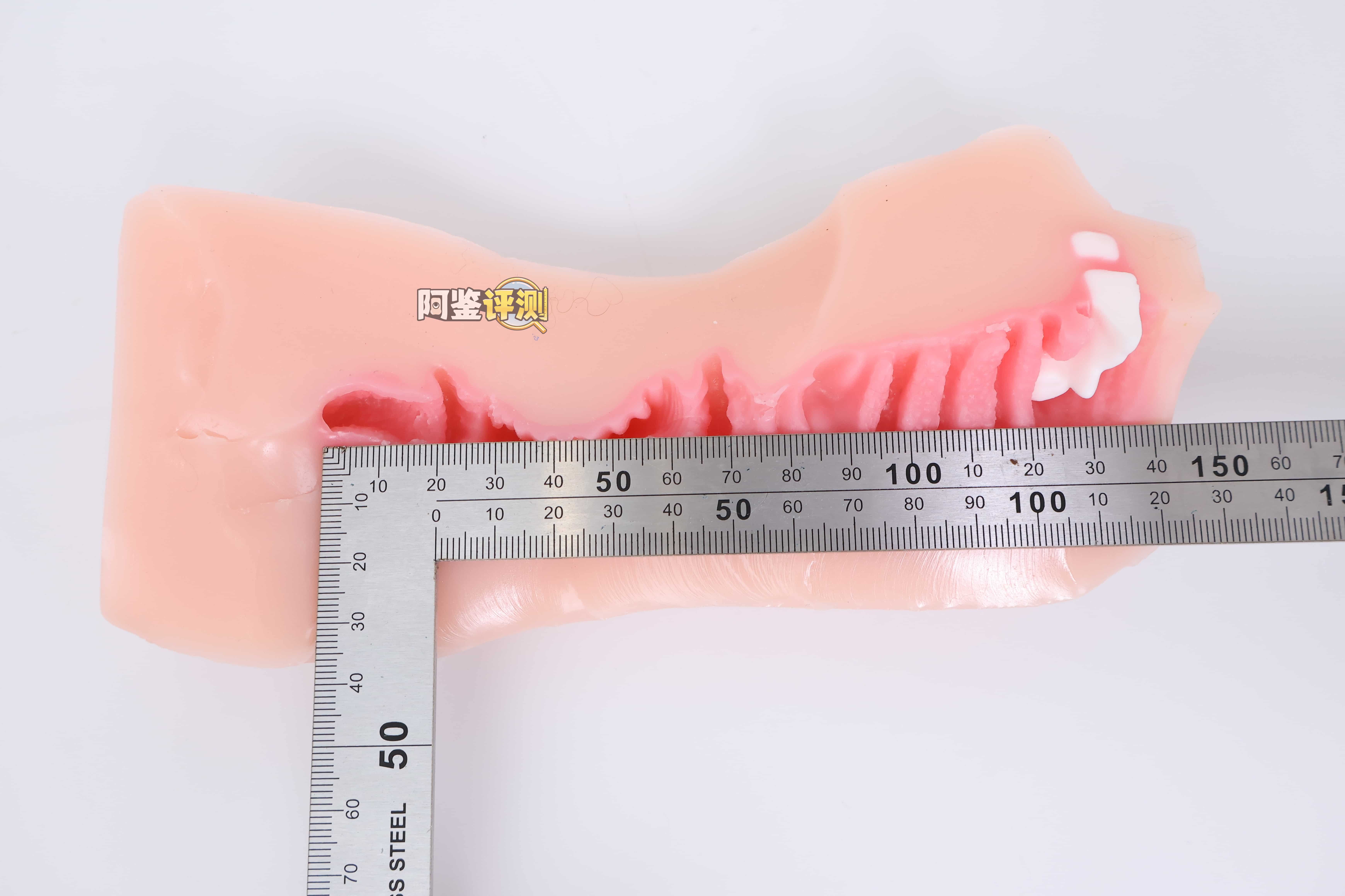 KAGUYANO——”诗多利”评测!非常“二次元画风”的口腔结构,但深处的简单结构并不实用