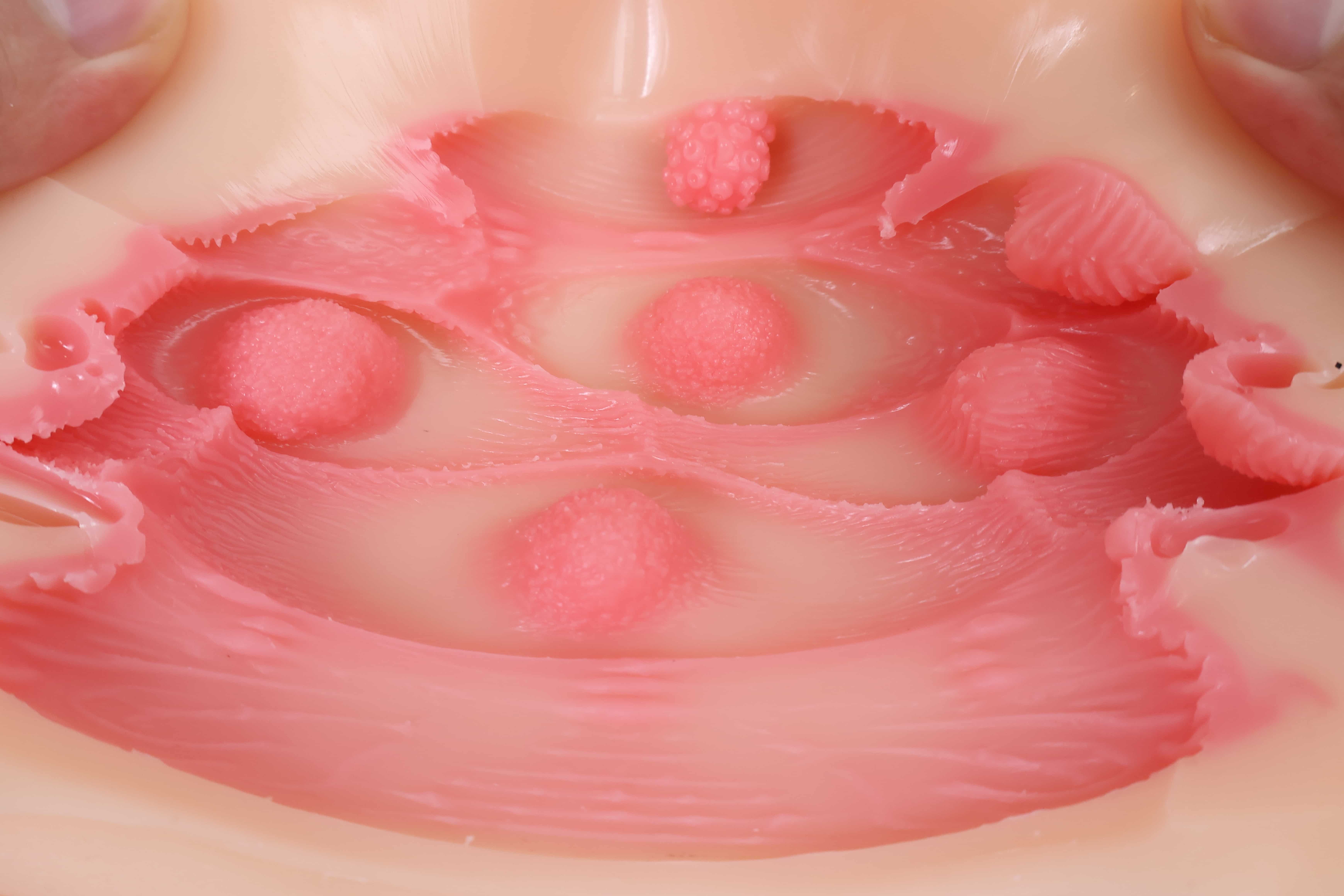 OK——“地雷系彼女”评测！硬度如此高的小臀模，撞起来的感觉像是”以卵击石“.....