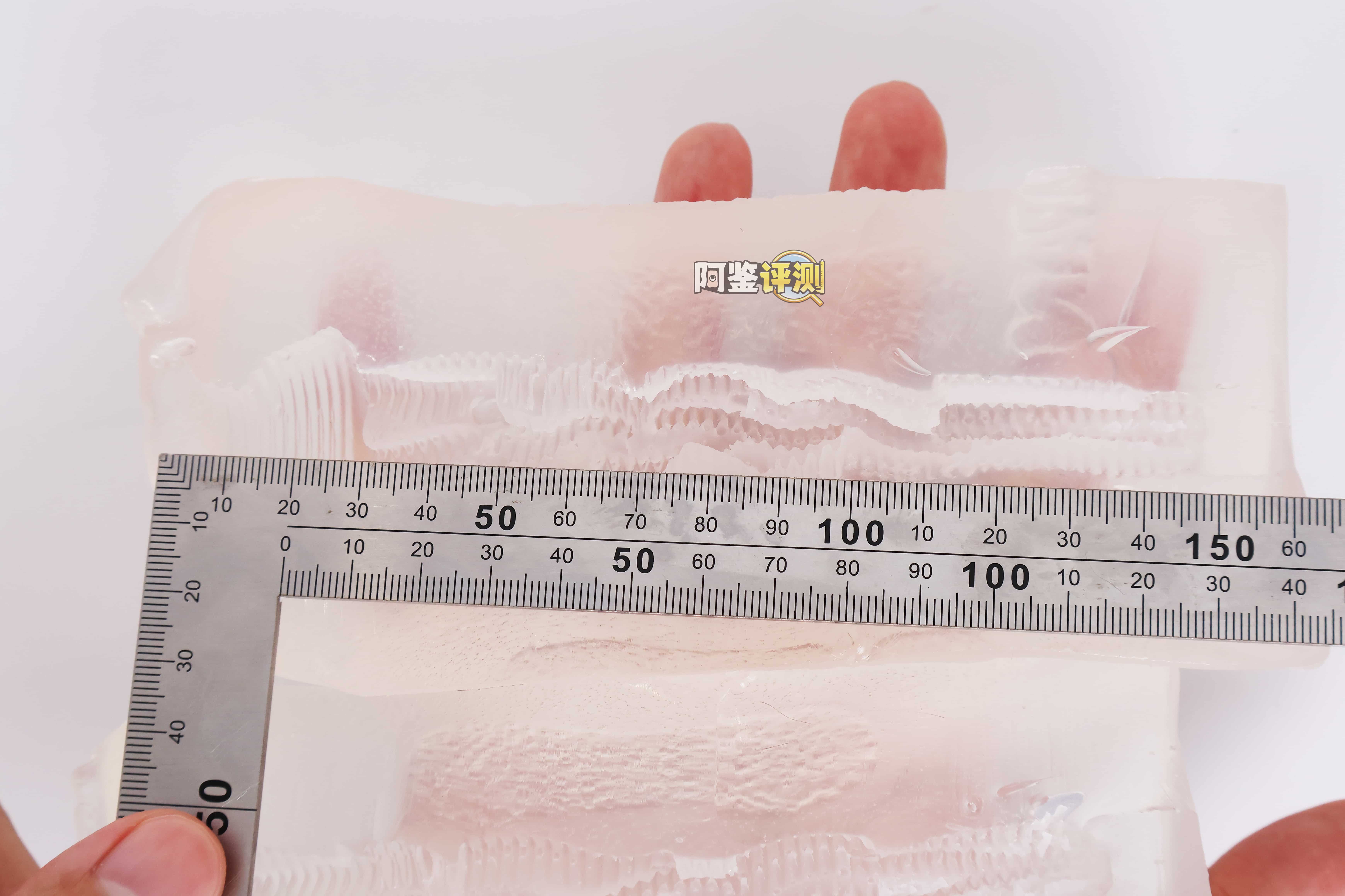 RIDE JAPAN——”QUEENS”评测!直球高刺激杯越来越少见的时候,RIDE终于又用它的透明材料出手了