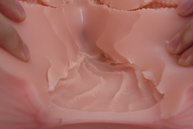 傲川——“爆汁肥尻娘MAX”评测！40kg逆天重量的究极大臀，实际使用起来到底是怎样的感觉？