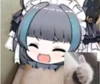 飞机杯介绍,新手入门