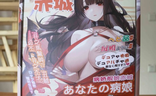 Onaho-舰娘赤城(小身体)评测!功能齐全的小身体,性价比之选的小型倒模!