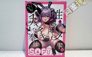 COOLP——“性处理女仆soft”评测!充满技巧但又耐心温柔,棱角舔舐般的慢玩软感